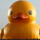A giant rubber duck in Kaohsiung, Taiwan, in 2013.